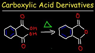 Carboxylic Acid Derivative Reactions [upl. by Golliner]