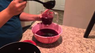 How to Make Chokecherry Jam [upl. by Madi]