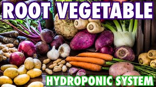 A Hydroponic System for Root Vegetables [upl. by Laucsap]