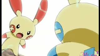 plusle and minun Pokemon AMV [upl. by Akela]