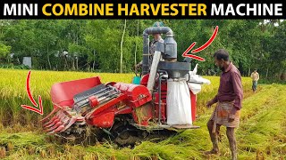 Mini COMBINE HARVESTER Machine  Rice Harvesting Machine [upl. by Latrice]