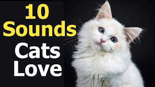 10 Sounds Cats Love To Hear The Most [upl. by Eceer455]