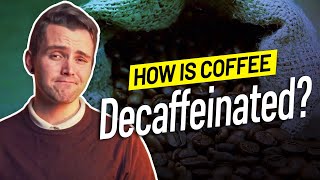 How is Coffee Decaffeinated [upl. by Jeb]