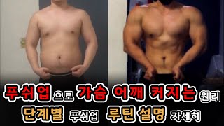 푸쉬업으로 가슴과 어깨를 키우는 루틴 설명 [upl. by Inol]