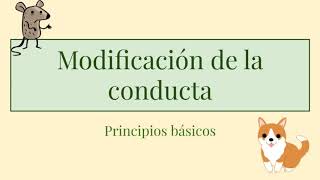 Modificación de la conducta principios básicos [upl. by Lissi]