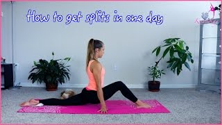 How to do the splits in one day [upl. by Asyl599]