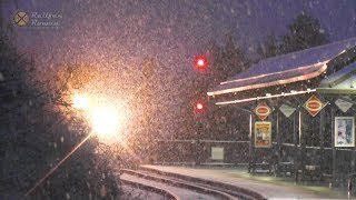 ❆❅❄SNOW DAY Amtrak VRE NS Trains in Snow ❆❅❄  Railfan Rowan [upl. by Ulises507]