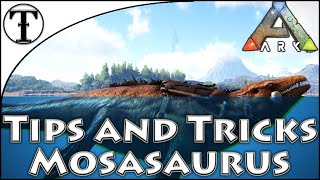 Fast Mosasaurus Taming Guide  Ark  Survival Evolved Tips and Tricks [upl. by Emyaj]