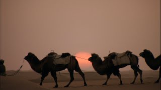 Kitaro  Silk Road  Caravansary live [upl. by Fredek923]