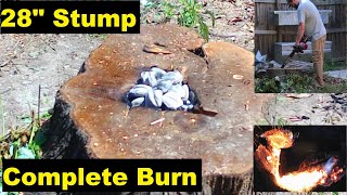 Easy Stump Removal  Complete Burn [upl. by Gherardo685]