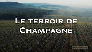 Le terroir de Champagne [upl. by Aivatal]