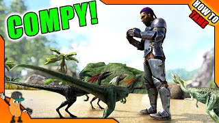 HOW TO TAME A COMPY  ARK How To Tame Series [upl. by Raphael216]