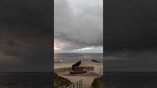 Urlaub in Cuxhaven Webcam Duhnen Kugelbake [upl. by Benia112]