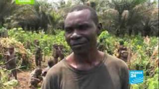 Pygmies endangered people [upl. by Oira]