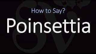 How to Pronounce Poinsettia CORRECTLY [upl. by Moorish791]