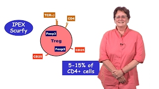 Autoimmunityclassification amp immunological tolerance [upl. by Narton847]