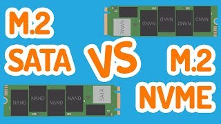 M2 SSD NVME vs SATA Explained [upl. by Eirrem]