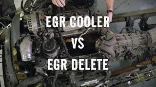 EGR Delete or EGR Cooler [upl. by Netsreik]