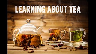 Understanding Tea with Don Mei [upl. by Callie952]