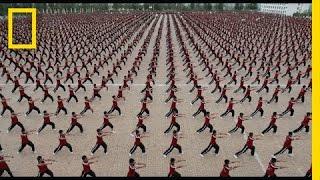 36000 Kids You Don’t Want to Mess With  Short Film Showcase [upl. by Atsev724]