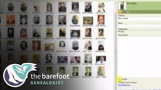 Family Tree Maker Syncing With Your Online Tree  Ancestry [upl. by Ecirtnahs]