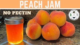 Peach Jam without Pectin  Useful Knowledge [upl. by Hulburt368]