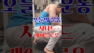 아파트홈짐 등운동의 황제 케이블로우 [upl. by Pierre]