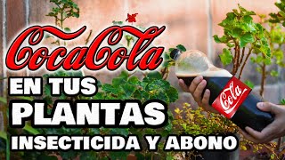 ¡INCREÍBLE INSECTICIDA y ABONO con COCACOLA Plantas y Huerto Urbano 🥤 Fungicida Pesticida Casero [upl. by Fonzie511]