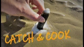 How to catch RAZOR CLAMS  Coastal Sea Foraging  Catch amp Cook  Dorset Fishing  Low Tide Foraging [upl. by Siloum422]