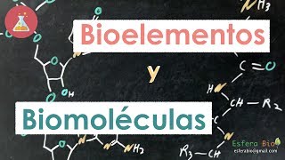 Bioelementos y Biomoléculas [upl. by Poppy375]