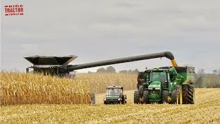 FENDT IDEAL 9T Combine Harvesting Corn [upl. by Teplitz]