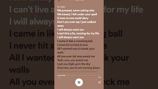 Wrecking Ball  Miley Cyrus Lyrics [upl. by Wiese]