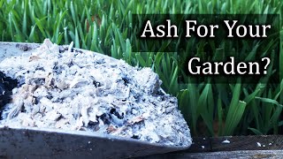 Ash For Your Garden  4 Ways To Apply It Properly [upl. by Lole]