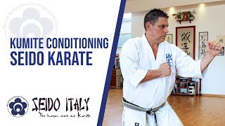 Seido Karate Italy  Kumite Conditioning [upl. by Llen749]