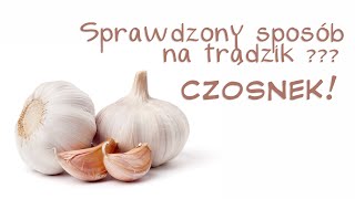 Mój sprawdzony sposób na trądzik  pryszcze  CZOSNEK [upl. by Elamrej885]