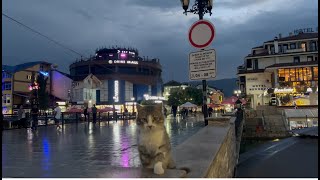 Struga City Rain [upl. by Sedda483]