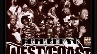 90s West Coast Classic Gangster Rap Mix  Hoo Bangin [upl. by Enyrhtac457]