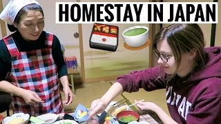 My Homestay Experiences  Indian Homestays [upl. by Busiek]