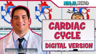 Cardiovascular  Cardiac Cycle Digital Version [upl. by Leese203]