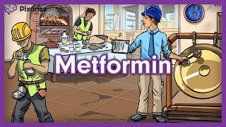 Metformin USMLE Mnemonic [upl. by Hilten]