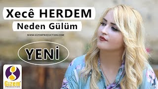 Xecê Herdem  Neden Gülüm Akustik [upl. by Ielak]