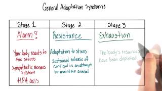 What does Angelman Syndrome look like [upl. by Ahsinuq252]