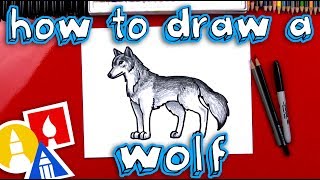 How To Draw A Realistic Wolf [upl. by Bocoj]