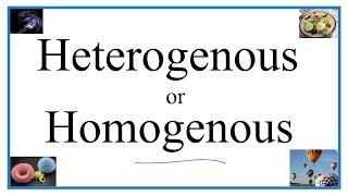 Heterogenous vs Homogenous Definitions Examples amp Practice [upl. by Winson451]