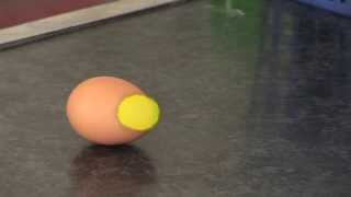 Egg Experiment to Demonstrate Inertia [upl. by Masao]