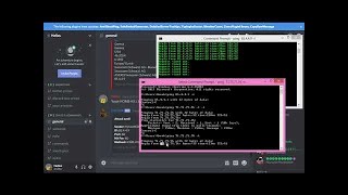 Discord DDoS Bot Showcase  2020 [upl. by Ardekan560]