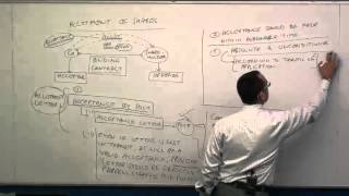 Introduction to ALLOTMENT OF SHARES Company Law VIDEO for CACSCMA [upl. by Nolyaw]