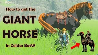 How to get the GIANT HORSE in Zelda Breath of the Wild [upl. by Redvers]