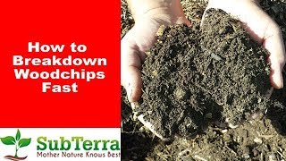 How to Get Wood Chips to Break Down FAST [upl. by Aseel]