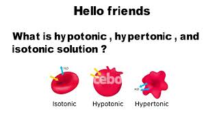 Hypertonic  hypotonic and Isotonic solution Science student [upl. by Llerrahs]